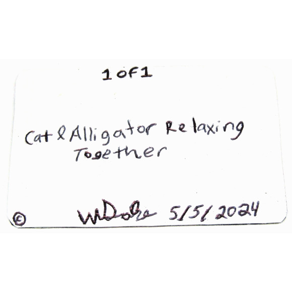 ACEO Art Card Cat & Alligator Relaxing Abstract Animals Artist Signed - Picture 2 of 2